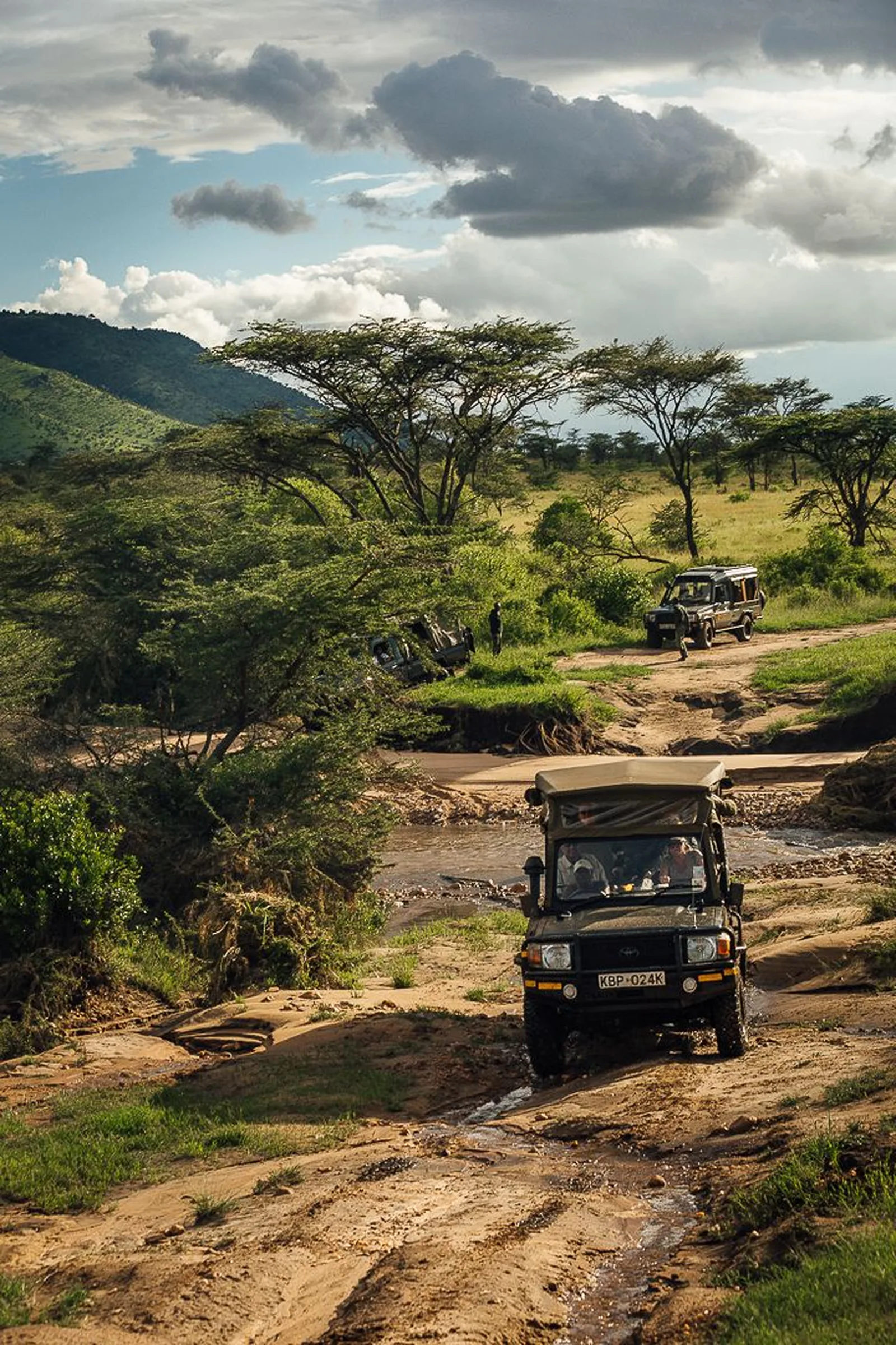 Safari Kenya